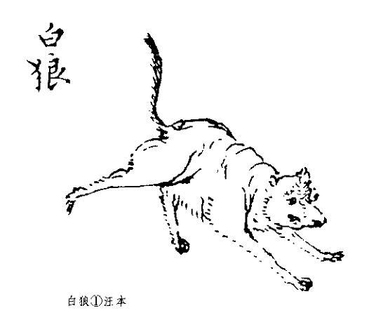 山海经西次四经图文怪兽全本讲解一