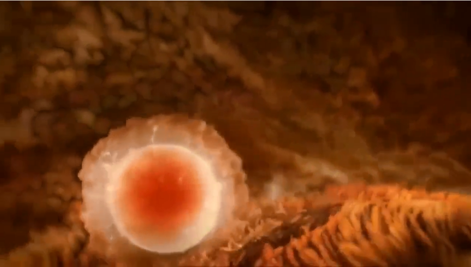 排卵后吃什么容易着床 要想好孕利用着床食物不可少 辣妈贝贝