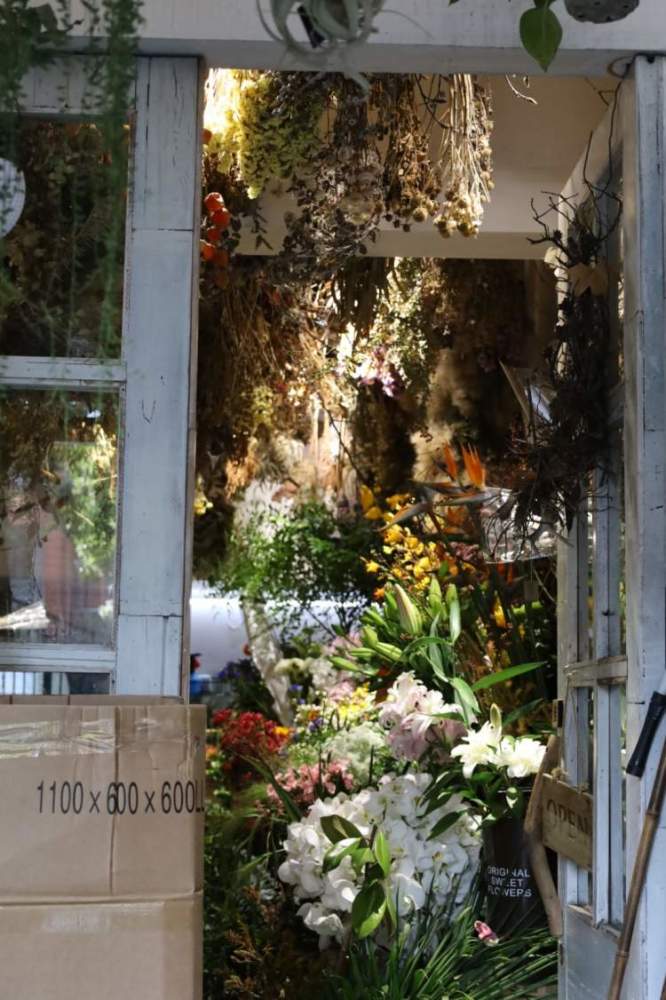 高分纪录片 我住在这里的理由 主人公 为何漂洋过海奋斗八年开一家花店 腾讯新闻