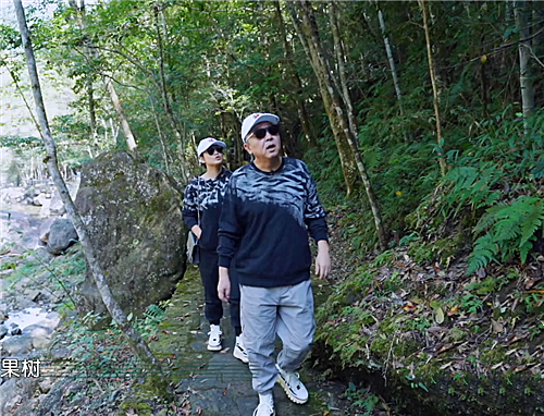 于谦的"李宁鞋"遭学生党疯抢,看到他上脚效果,网友:太潮了