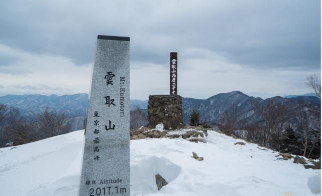 鬼灭之刃角色重点资料公示 身高 体重 年龄出生地 喜欢的食物 炭治郎 东京府 鬼杀队 九柱 善逸 鬼灭之刃