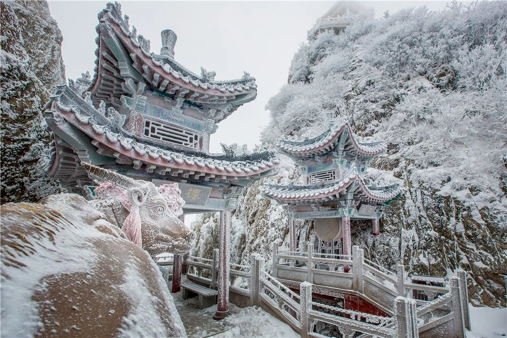 【冬遊河南】仿若天上宮闕,雪後老君山霧凇雲海,瓊樓玉宇美成仙境