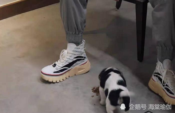 于谦嫌弃自己个子矮?录节目穿增高鞋,看这鞋底最起码有两厘米!