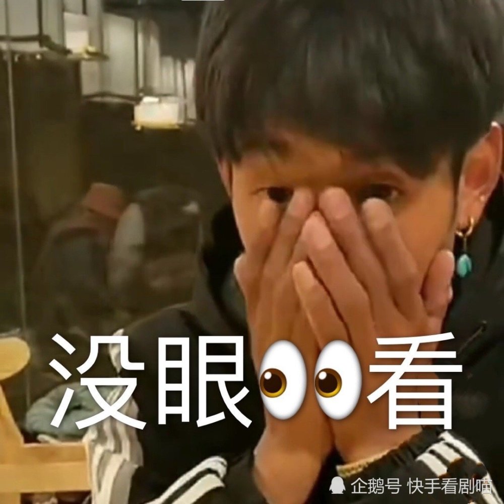 丁真告诉你,长得好看真的能当饭吃,丁真最新表情包,不然刷着刷着找不