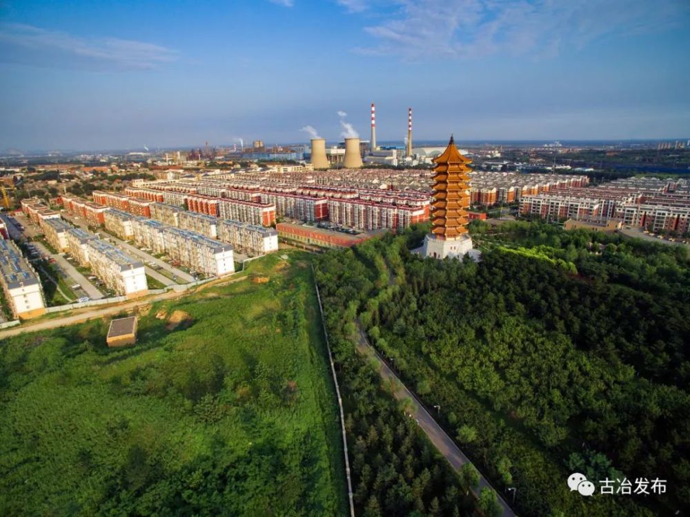 古冶网红打卡地生态修复十年树木金山森林公园