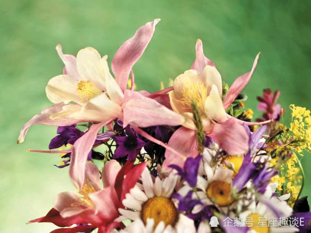 12月5日 9日星座运势 双子加倍努力 天秤主次分明 双鱼劳逸结合 腾讯新闻