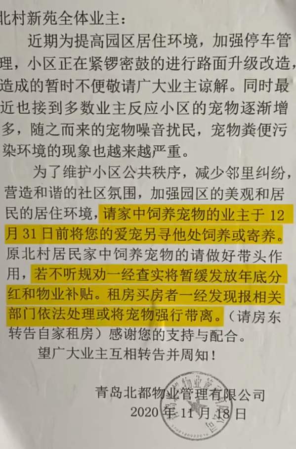 青岛小区禁止养宠物网友回应部分养宠人素质过低