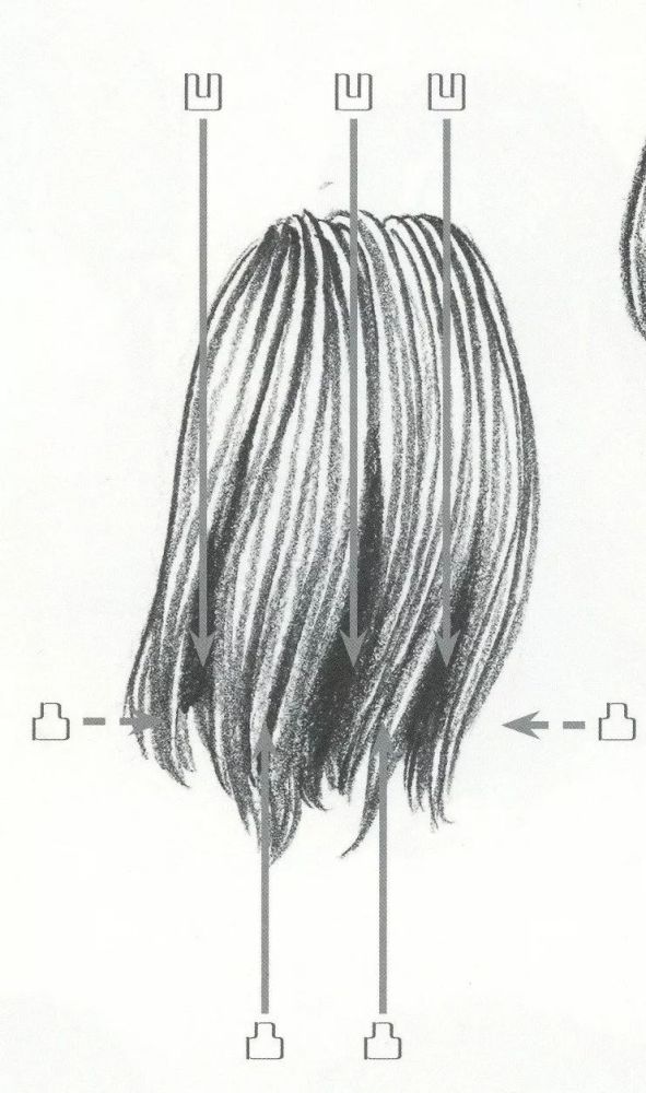 5头发的分布位置及形状