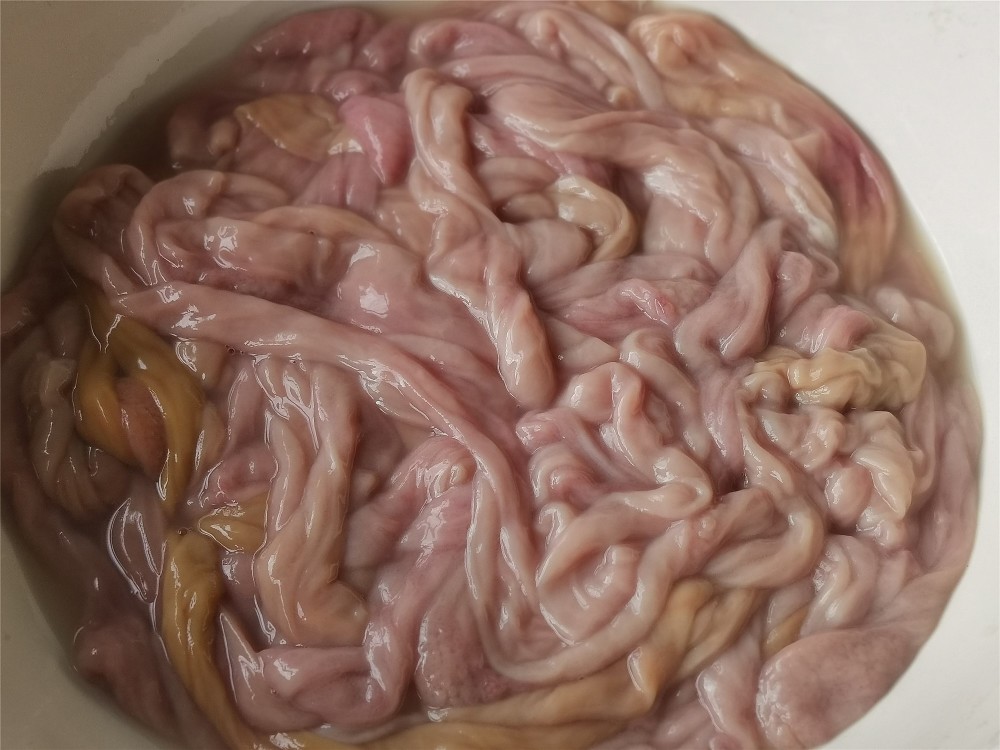 猪苦肠怎样清洗?别只用盐和醋,教你小技巧,洗得干干净净没异味_腾讯新