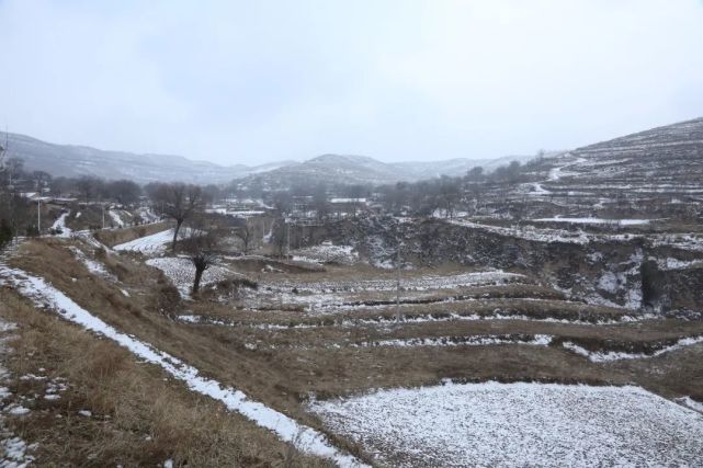 西吉這裡發生地震,117名同胞遇難……|偏城|震湖鄉|地震|西吉縣|寧夏