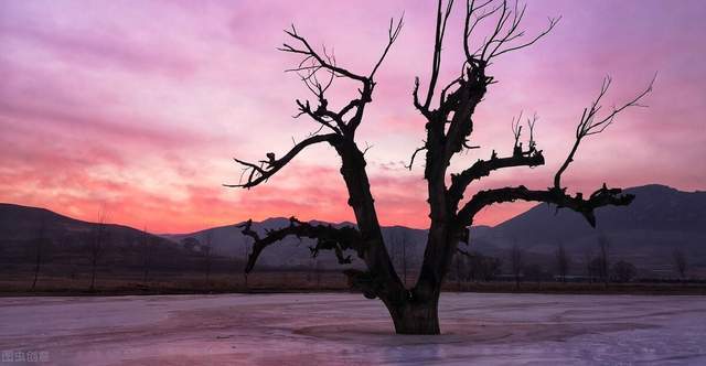 重读马尔克斯的《百年孤独》:孤独是生命的常态