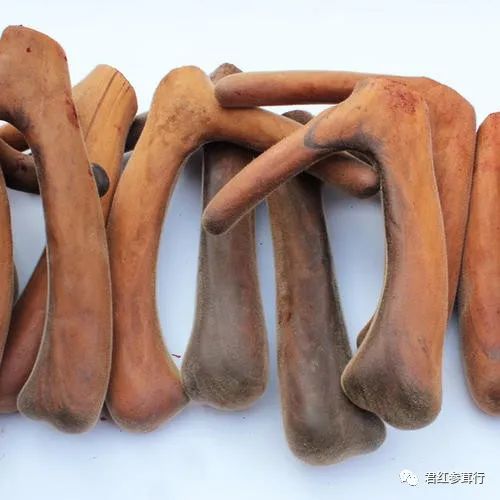 要比马鹿驯鹿的鹿茸任何一个品质都好很多,价格上也会高于马鹿驯鹿茸3