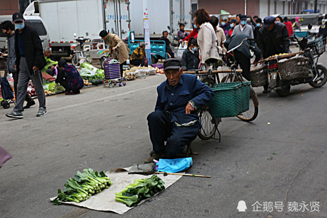 東北早市賣菜的老人們:90歲爺爺推木童車賣自己種的菜