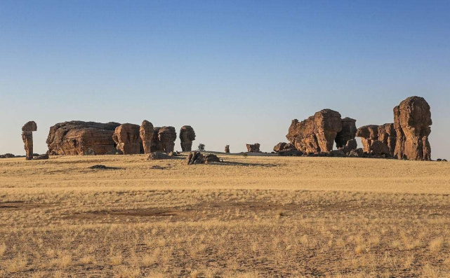 非洲的死亡之心,专家:30年后或将消失|非洲_时政|乍得湖|石油|乍得