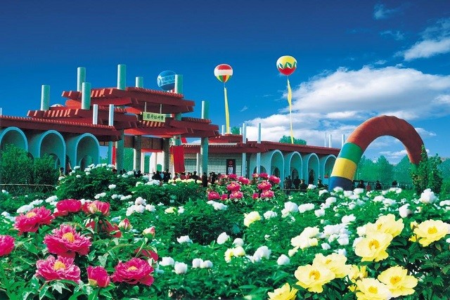 2006年被评为"中国牡丹城",2012年被命名为"中国牡丹之都"