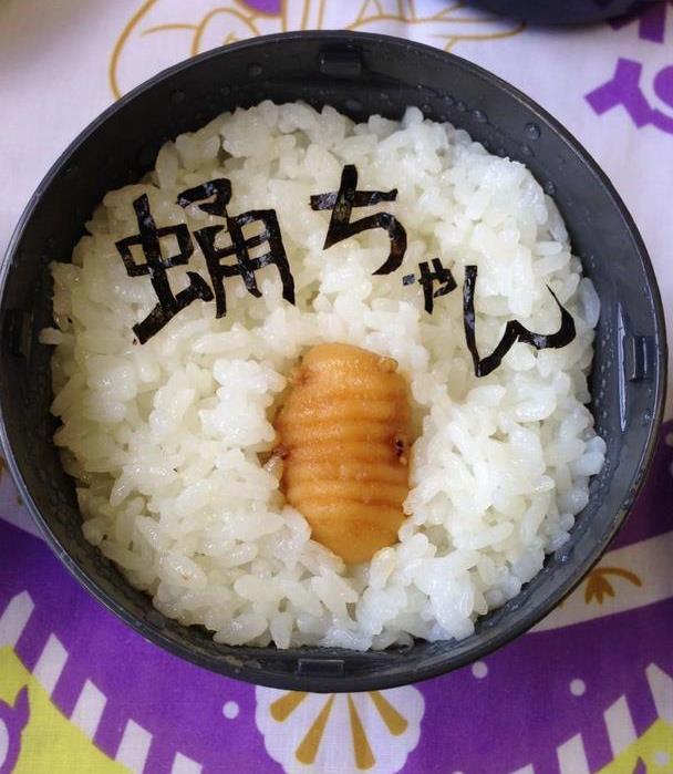 surprise!……变成了苍蝇!简直可以想象到儿子那哭笑不得的表情.