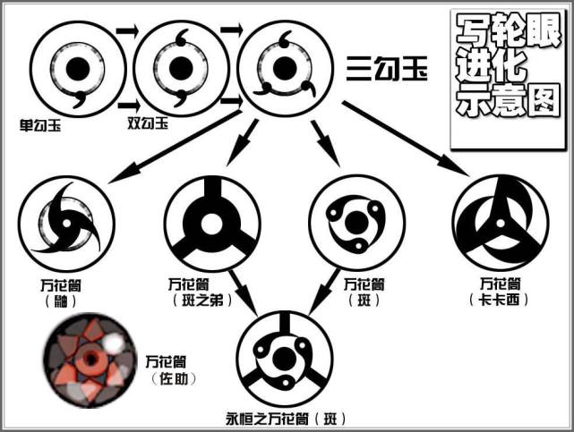 轮回眼|卡卡西|写轮眼|火影忍者|忍术|查克拉
