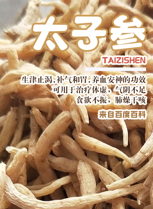 太子参虫草花补虚汤 滋补又不上火 没什么胃口喝它就对了 土茯苓 太子参 虫草花