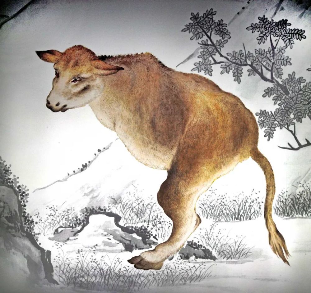 这些从故宫兽谱里跑来上海的神兽你能认出几只