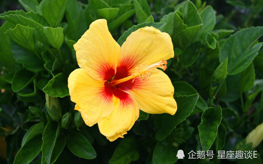 12月6日 12日星座运势 白羊深思熟虑 天秤换位思考 水瓶脚踏实地 腾讯新闻