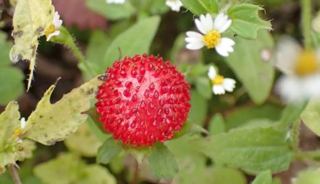 Inews Gtimg Com Newsapp Bt 0 641