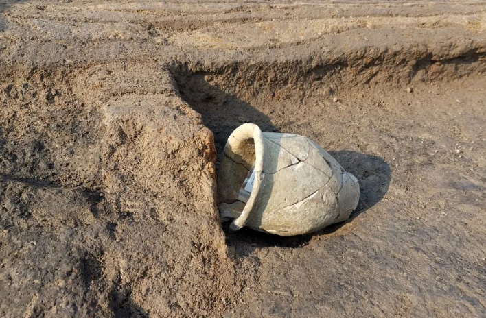 4000多年前的粮仓啥样记者带你走进淮阳时庄遗址