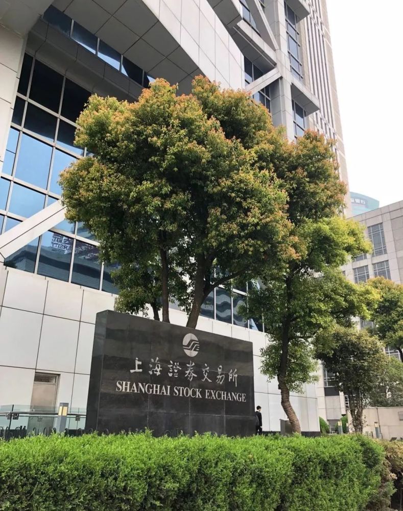 上交所关于发布上海证券交易所科创板股票发行上市审核规则2020年修订