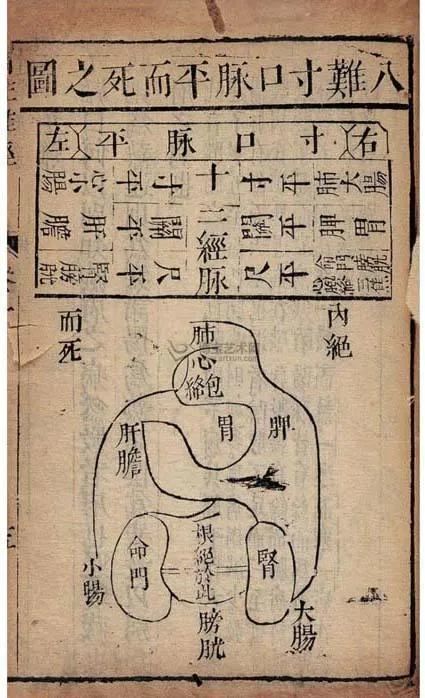 阳明经|阳盛|动脉
