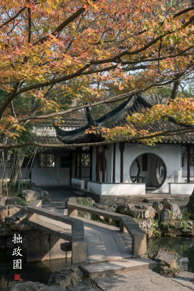 梧竹幽居亭曲桥边上的红叶,是拙政园秋色的代表.