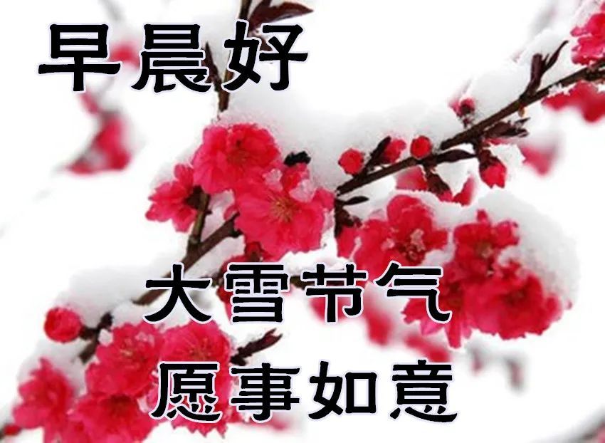 2021年大雪节气最暖心的问候祝福语短信大雪最美的祝福文字图片