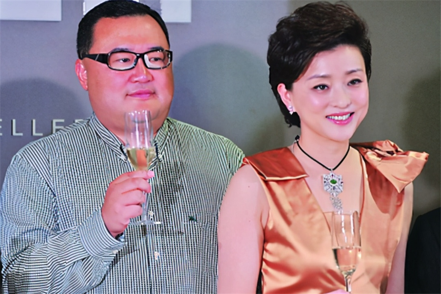 杨澜丈夫吴征长相一言难尽却最终赢得美人归夫妇恩爱24年