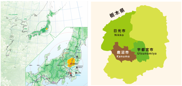 远郊农业的参考 日本栃木县草莓产业经验 腾讯网