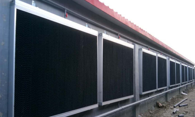 配套风机水帘猪舍环境要做好,猪舍建造要宽敞,还要适当降低猪密度