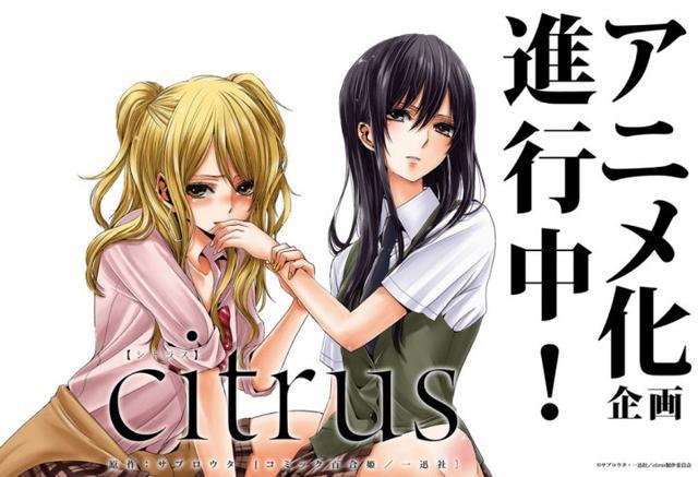 百合动画 Citrus 开设官网将参加东京国际动漫展 Citrus 百合