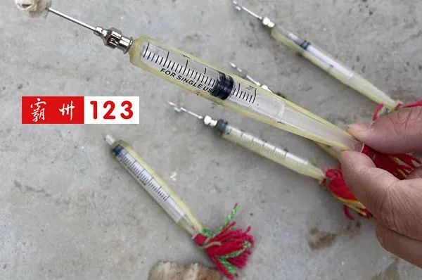 偷狗团伙用毒针射狗在霸州村街作案