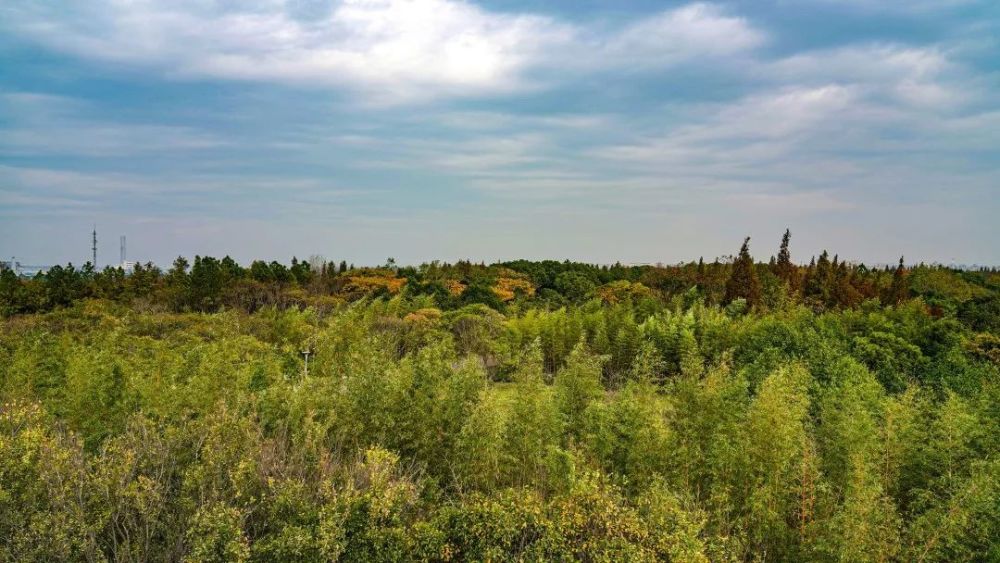 叹生活"泾"彩纷呈夕阳西下时看江上船来船往蓝天白云时被大自然包围的