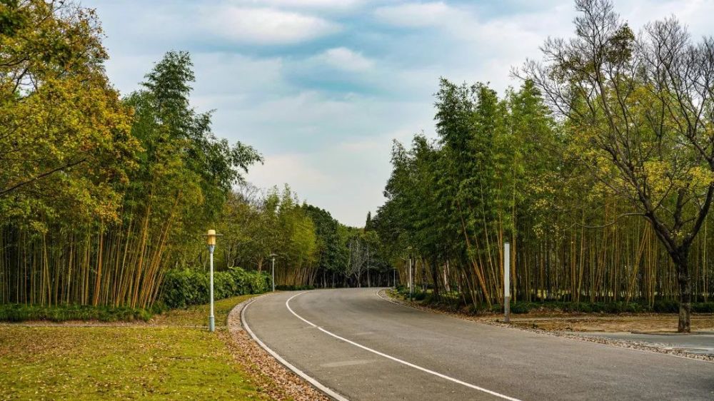 叹生活"泾"彩纷呈夕阳西下时看江上船来船往蓝天白云时被大自然包围的