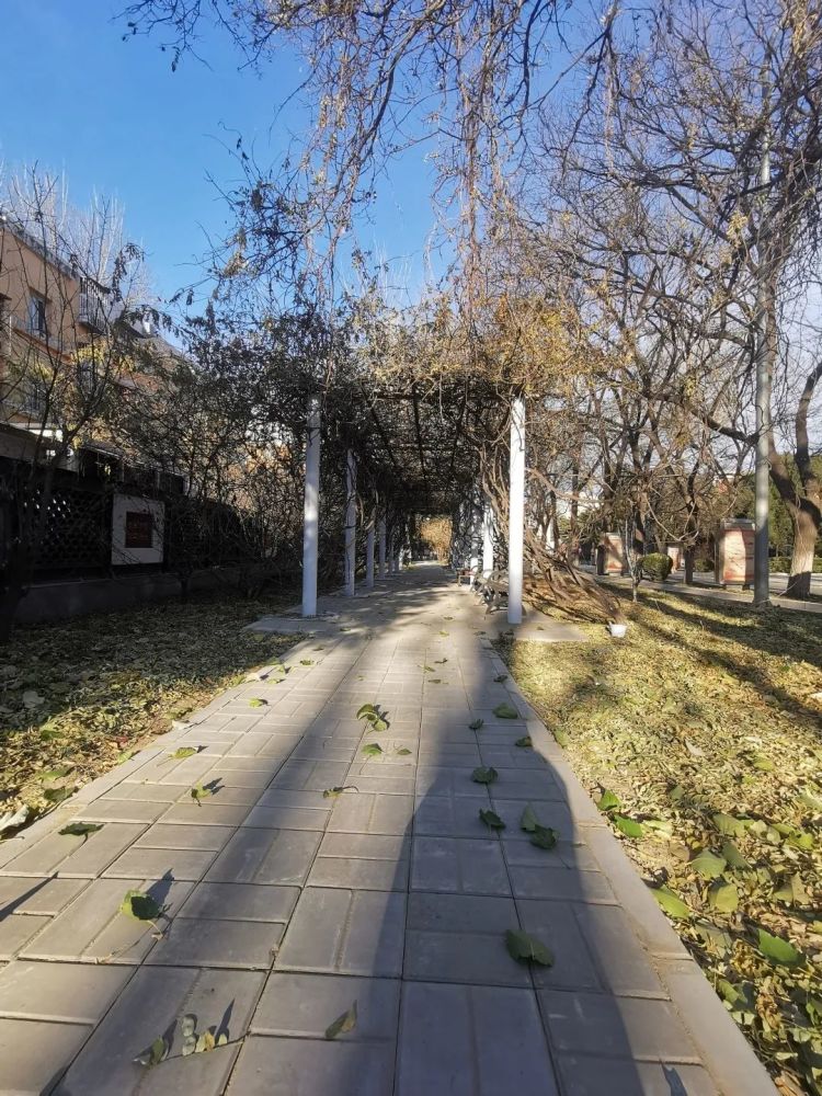 情况及时上报期待石景山更多的背街小巷以崭新的面貌与我们见面来源