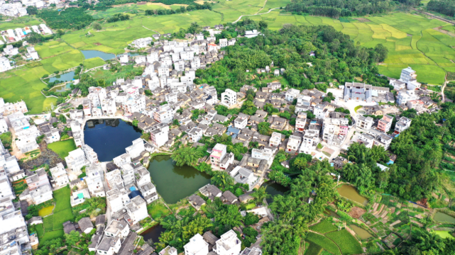 大新镇|平南县|广西|李赤雷