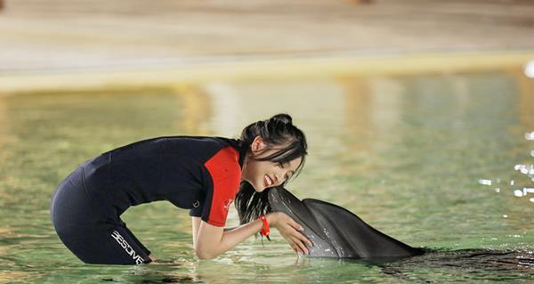 遭保护联盟点名批评|吴宣仪|金子涵|完美的夏天|刘宇宁|中国鲸类保护