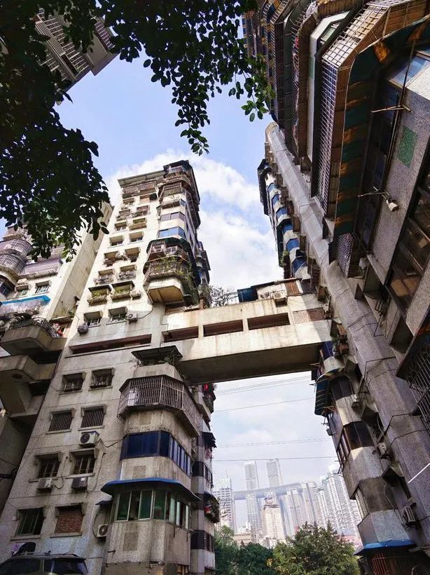 重庆8d魔幻,白象居22层无电梯,网友直呼:想住_腾讯新闻