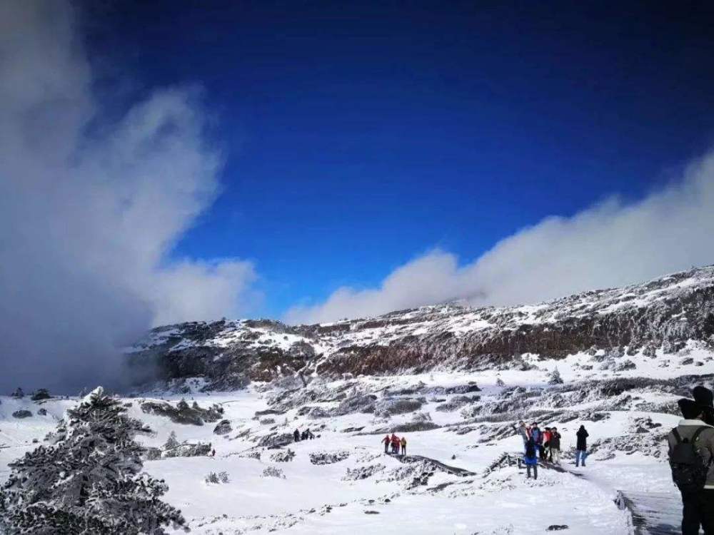 轿子雪山的顶峰就在东川,轿顶海拔4223米,为拱王山第三高峰,天气好