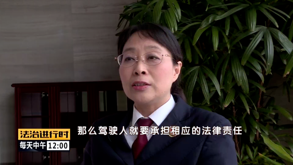 无驾照判刑视频播放网站_无驾照判刑视频播放网站大全