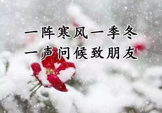 下雪了问候语图片