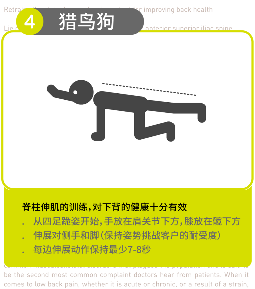 健身教练知识库改善下背痛的五种动作
