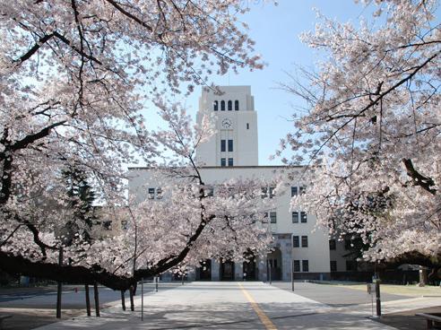 日本的语言学校假期都在什么时候 日本 旅游 假期 北海道