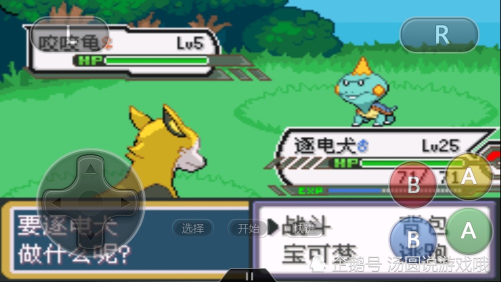 口袋妖怪八代的来电汪值不值得培养战斗力超以往家门狗