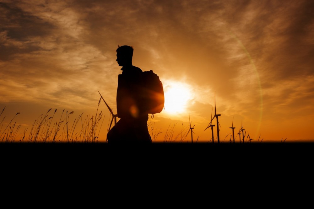 我们这些北漂一族,不仅房子是租来的,连生活也是租来的