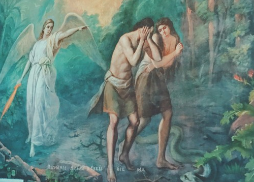 所以第一个男性和女性应该就是第一个携带y染色体的雄性古猿,和第