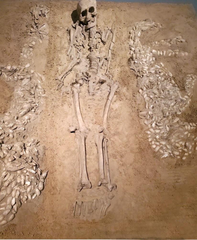 国家博物馆之古代中国基本陈列穿越百万年见证文明伊始